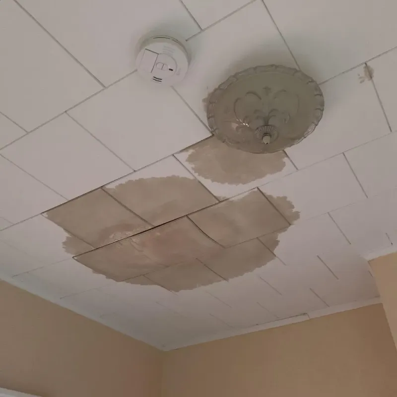 Ceiling Water Damage Repair in Wildwood, NJ