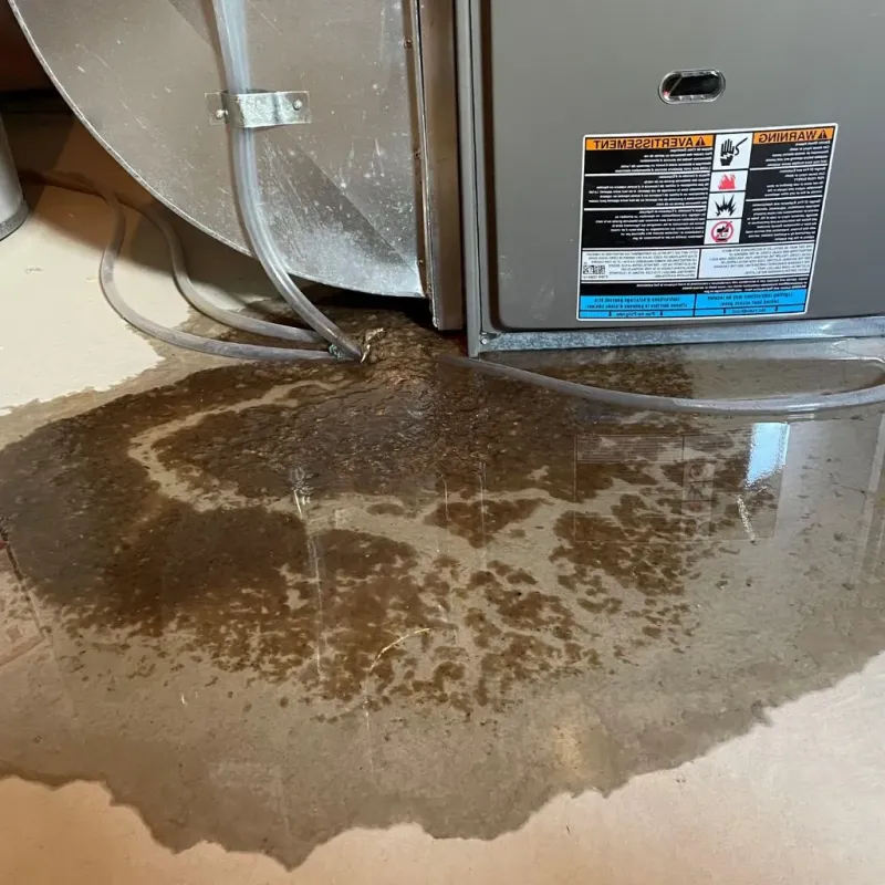 Pipe Burst and Leak Restoration in Wildwood, NJ